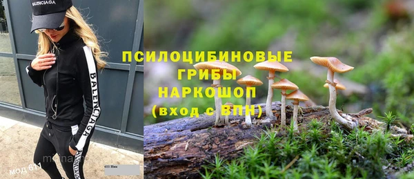 дживик Алексеевка