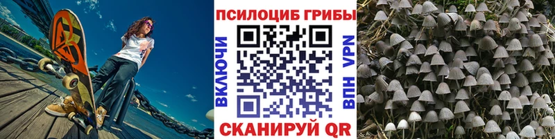 блэк спрут ONION  даркнет сайт  Краснообск  Галлюциногенные грибы мухоморы 
